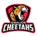 Gwalior Cheetahs