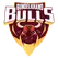 Bundelkhand Bulls