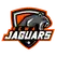 Rewa Jaguars