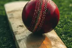 What is Suspended Meaning in Cricket? Learn what it means and why | Ascores